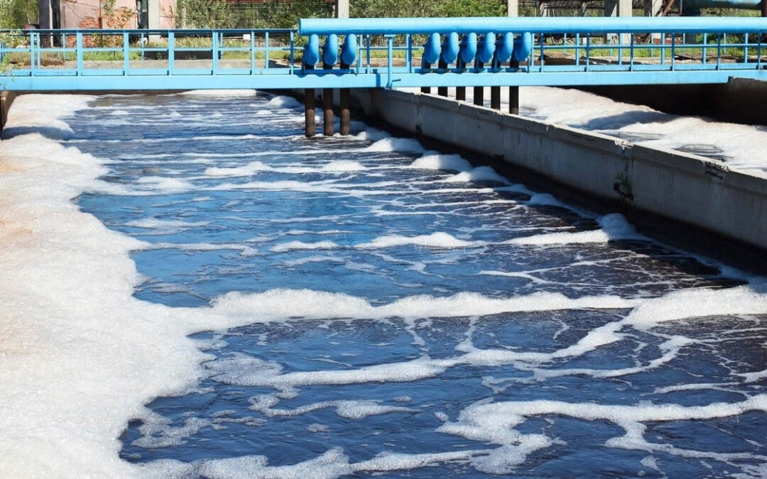 Tratamiento de un efluente industrial alimentario para recuperar y reusar agua. Análisis técnico, económico y ambiental