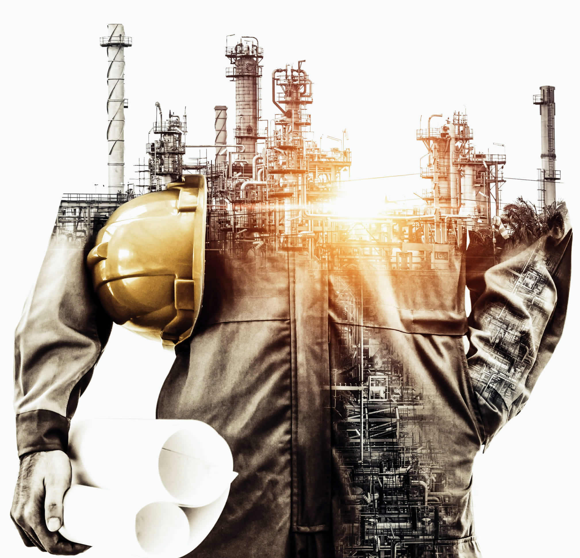 Instituto_Internacional_Ingenieria_Calidad_industria_proyectos_capacitacion_certificacion__industrias_2