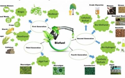 PRODUCCIÓN DE BIOCOMBUSTIBLES
