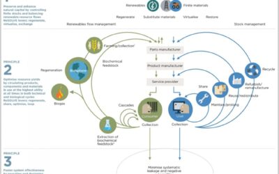 Economía circular